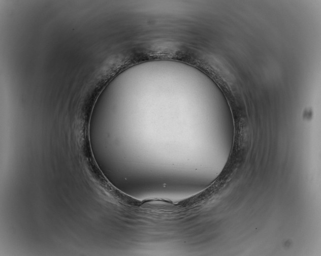 X0000098140641200804171548