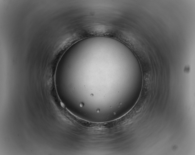 X0000098140642200804171548
