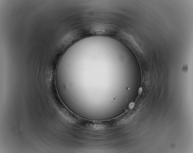 X0000098140645200804171548