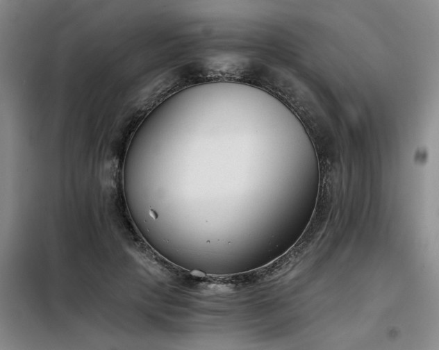 X0000098140649200804171548