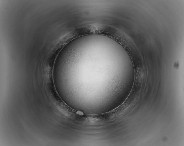 X0000098140650200804171548