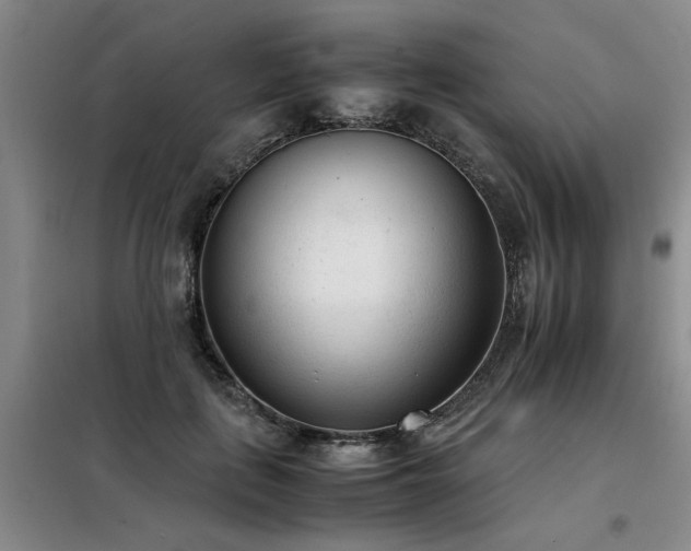 X0000098140651200804171548