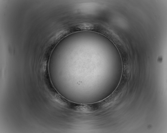 X0000098140652200804171548