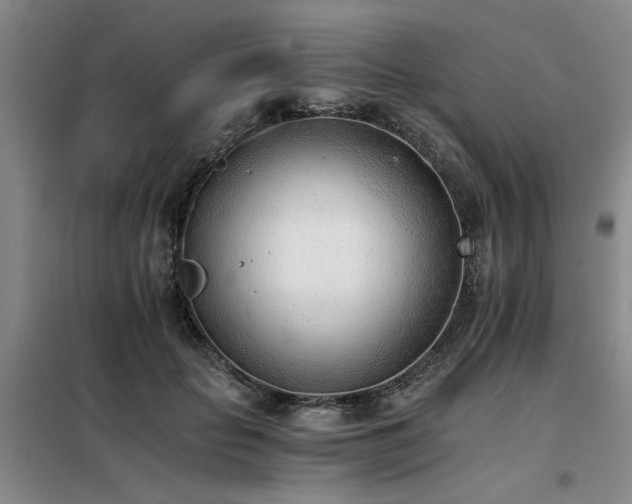 X0000098140653200804171548