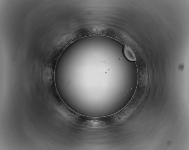 X0000098140654200804171548