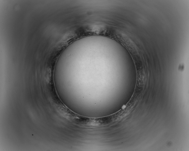 X0000098140656200804171548