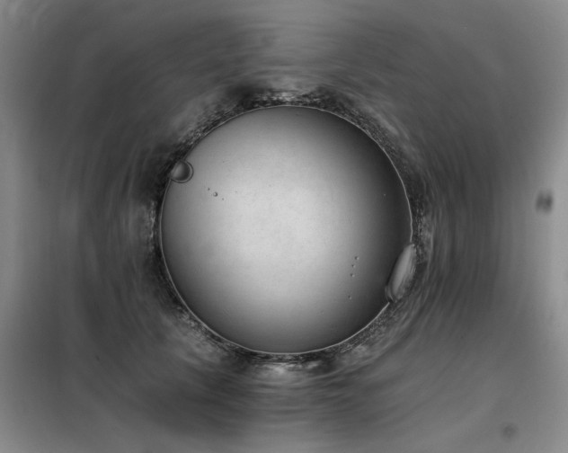 X0000098140657200804171548