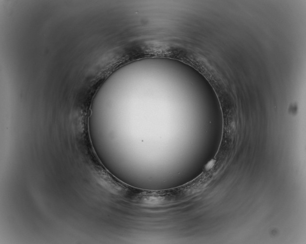 X0000098140658200804171548