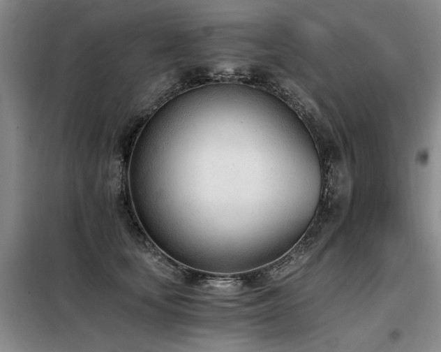 X0000098140659200804171548