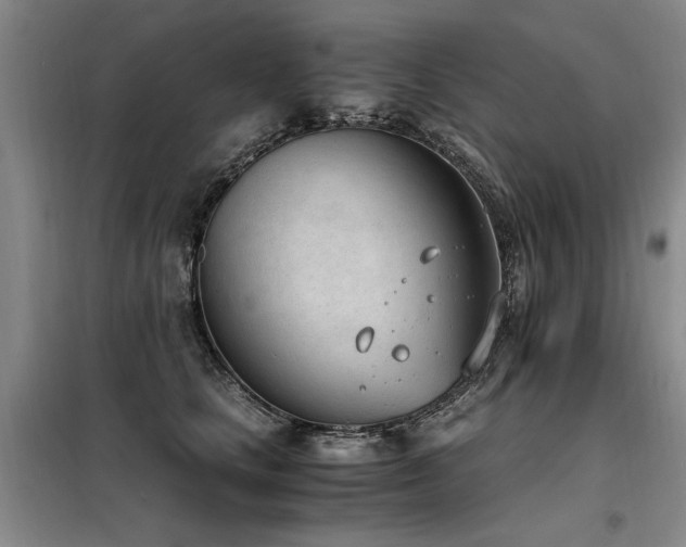 X0000098140661200804171548