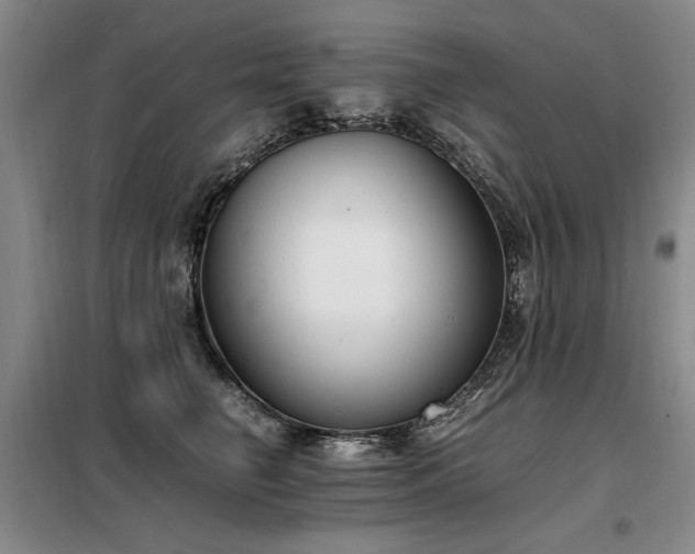 X0000098140662200804171548