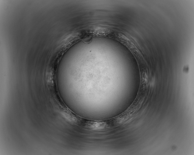 X0000098140663200804171548