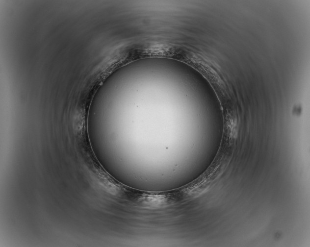 X0000098140665200804171548