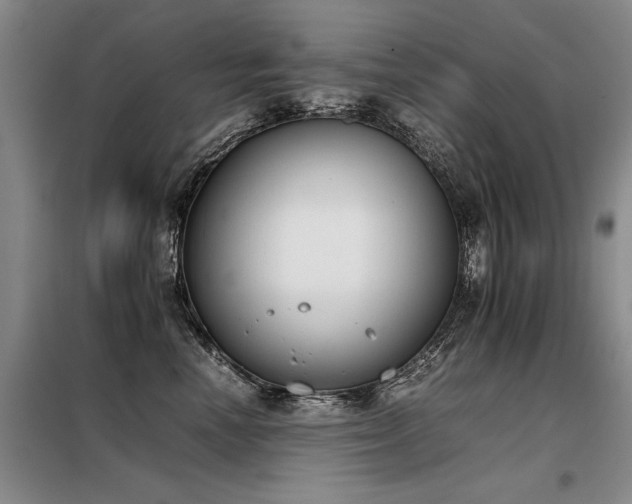 X0000098140666200804171548