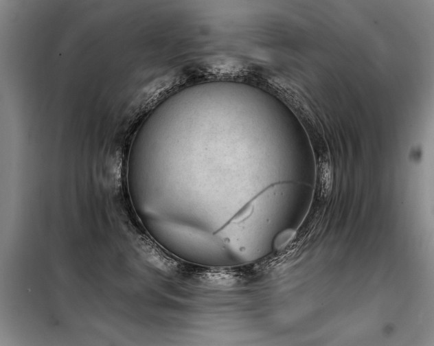 X0000098140668200804171548