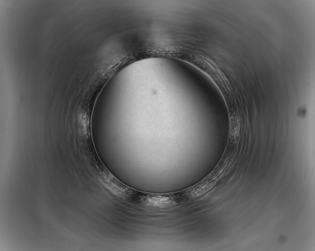 X0000098140669200804171548