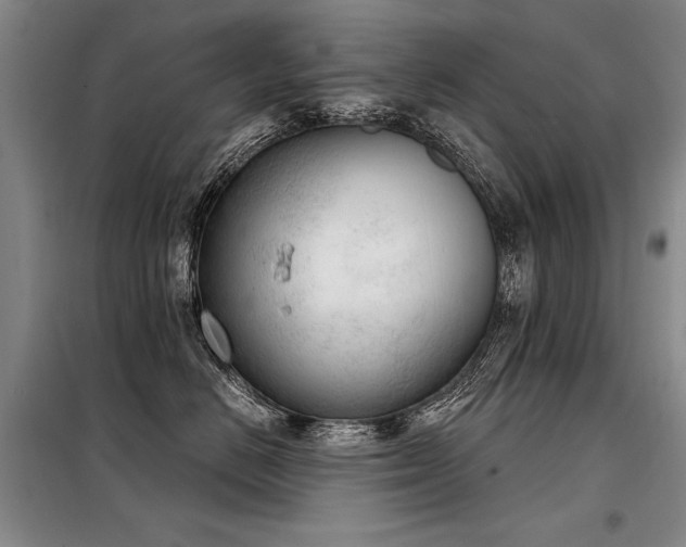 X0000098140670200804171548