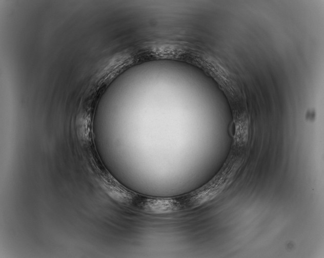X0000098140671200804171548