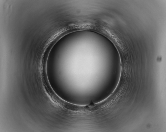 X0000098140674200804171548