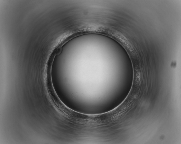 X0000098140678200804171548