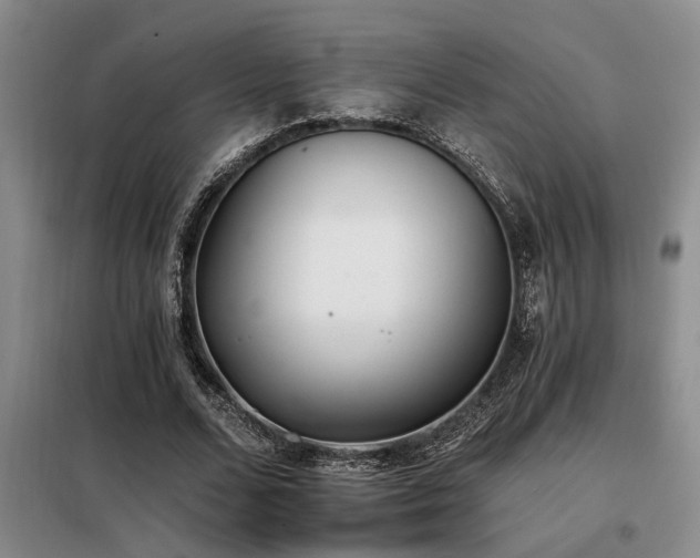 X0000098140680200804171548
