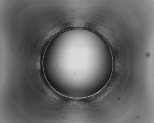 X0000098140681200804171548