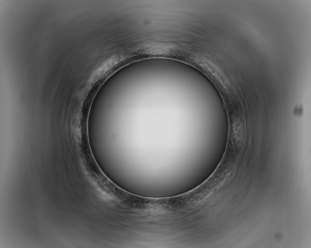 X0000098140682200804171548