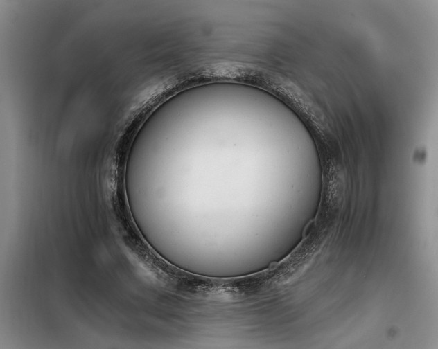 X0000098140683200804171548