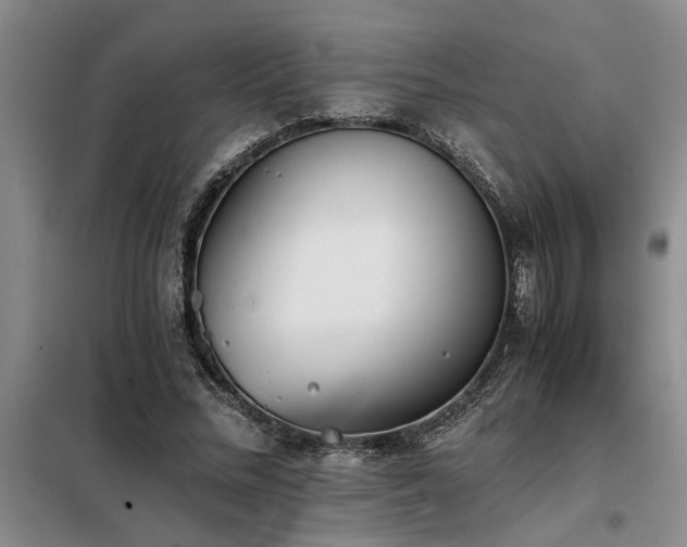 X0000098140684200804171548