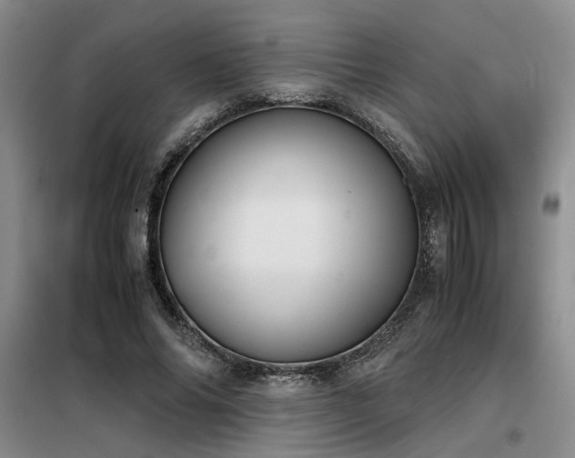 X0000098140686200804171547