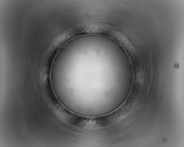 X0000098140687200804171547