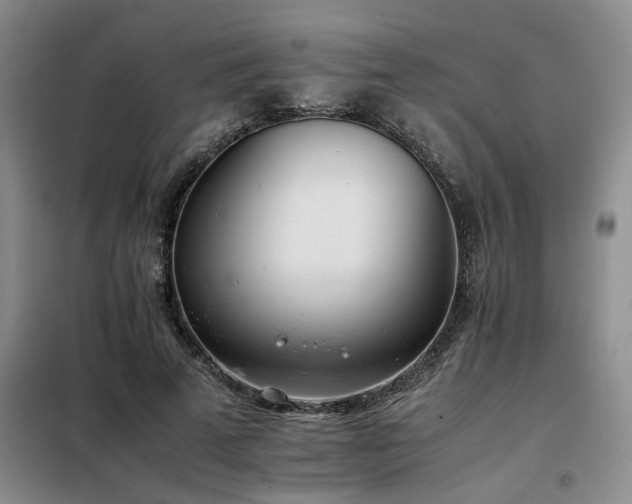 X0000098140689200804171547