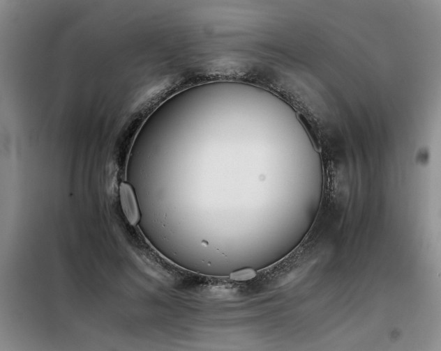 X0000098140692200804171547