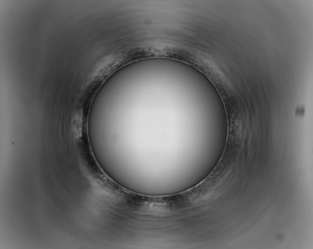 X0000098140694200804171547