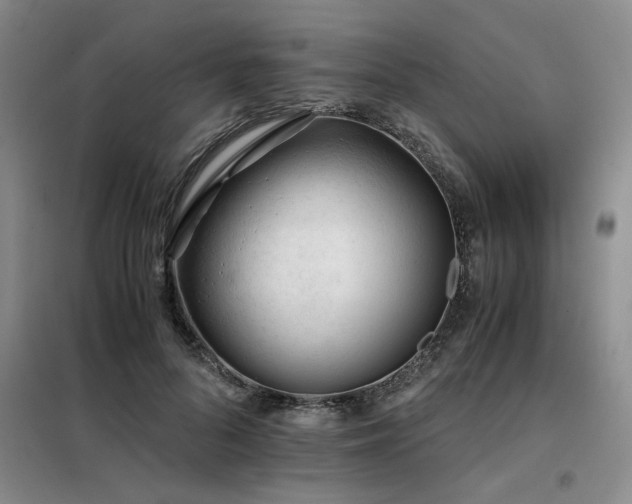 X0000098140696200804171547