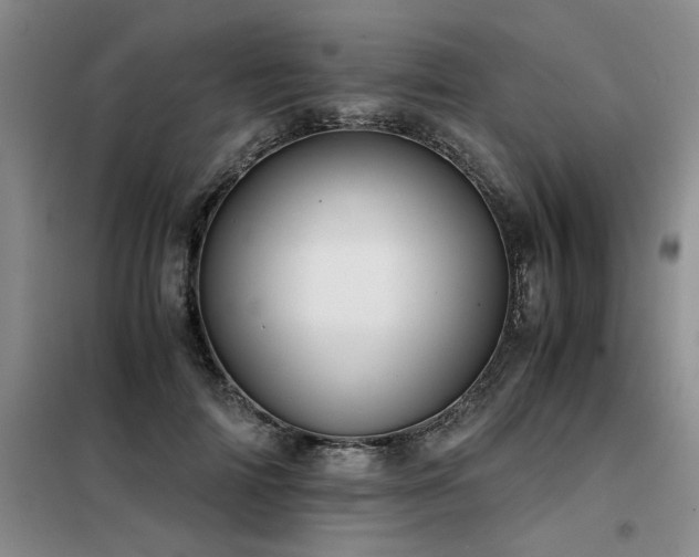 X0000098140698200804171547