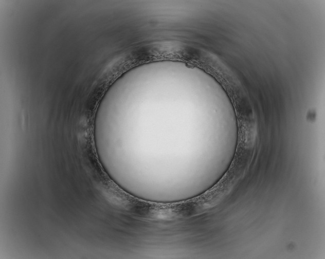 X0000098140701200804171547