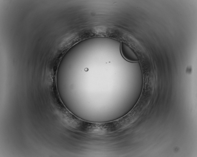 X0000098140702200804171547