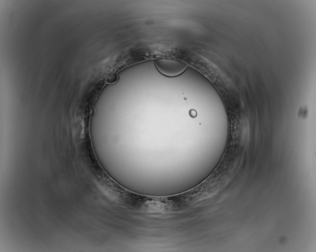 X0000098140703200804171547
