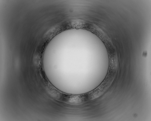 X0000098140705200804171547