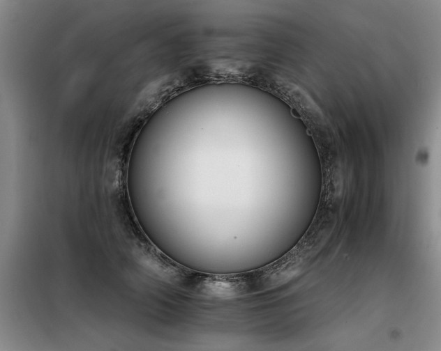X0000098140706200804171547