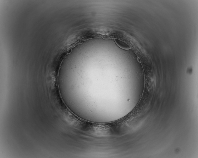 X0000098140707200804171547