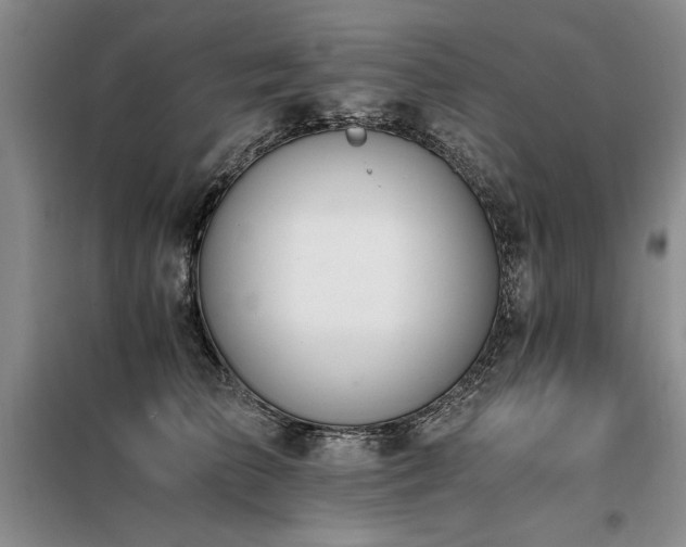 X0000098140709200804171547