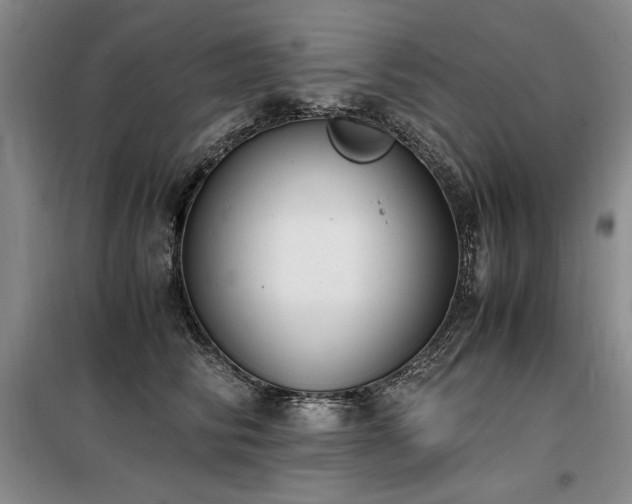 X0000098140710200804171547
