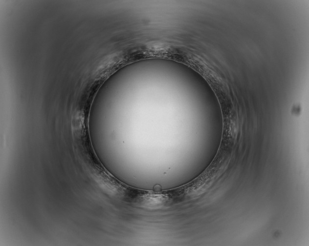 X0000098140711200804171547