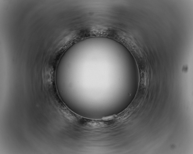 X0000098140712200804171547