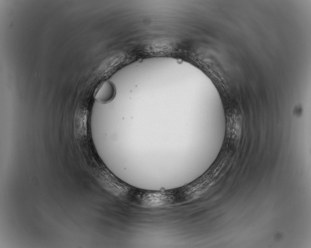 X0000098140717200804171547