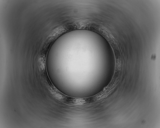 X0000098140719200804171547