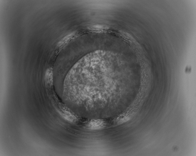 X0000098140720200804171547