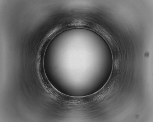 X0000098140724200804171546